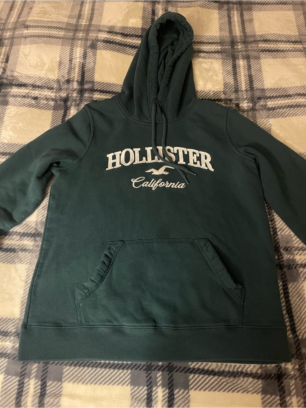 Send offer to me Hollister Dark Green California Logo Hoodie